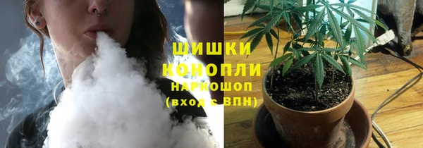 дживик Нязепетровск