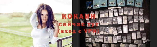 амф Аркадак