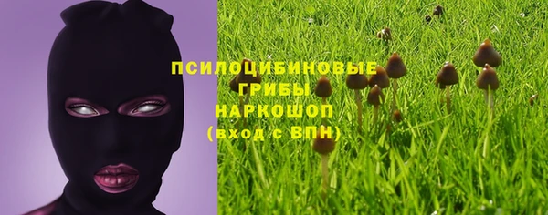 стаф Армянск