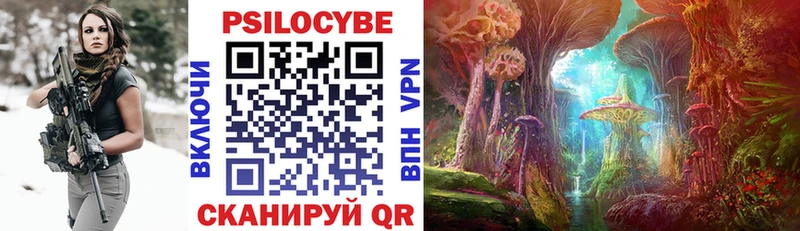 Галлюциногенные грибы Psilocybine cubensis  Кувшиново 